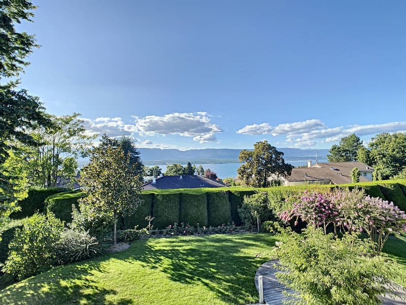 Charming house to renovate with lake view (1)