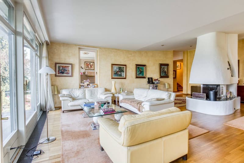 Charming house to renovate with lake view (3)