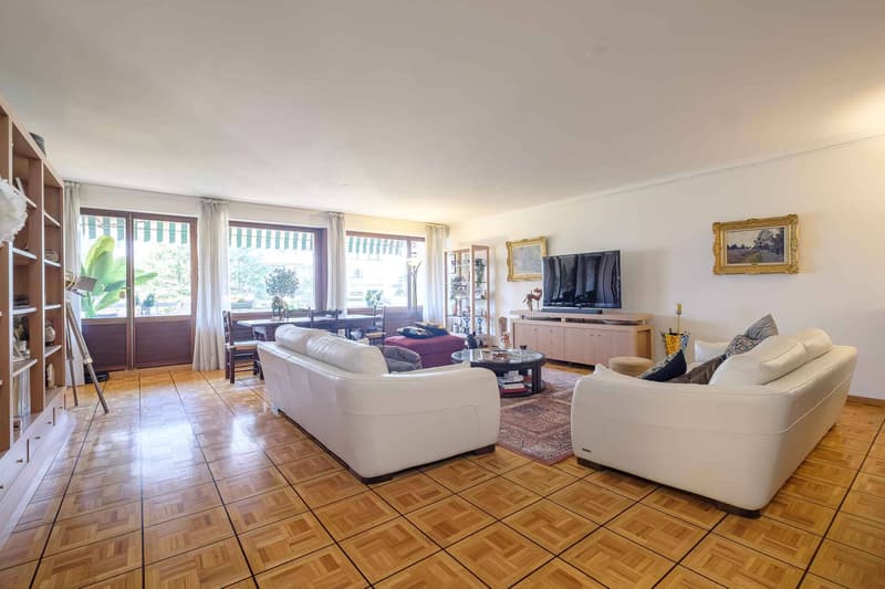 Beautiful through apartment with 6 rooms (2)