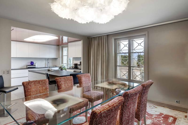 Beautiful renovated apartment with terrace and garden in luxury residence (2)