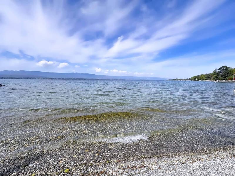 Villa di architetto con bella vista e accesso privato al lago (3)