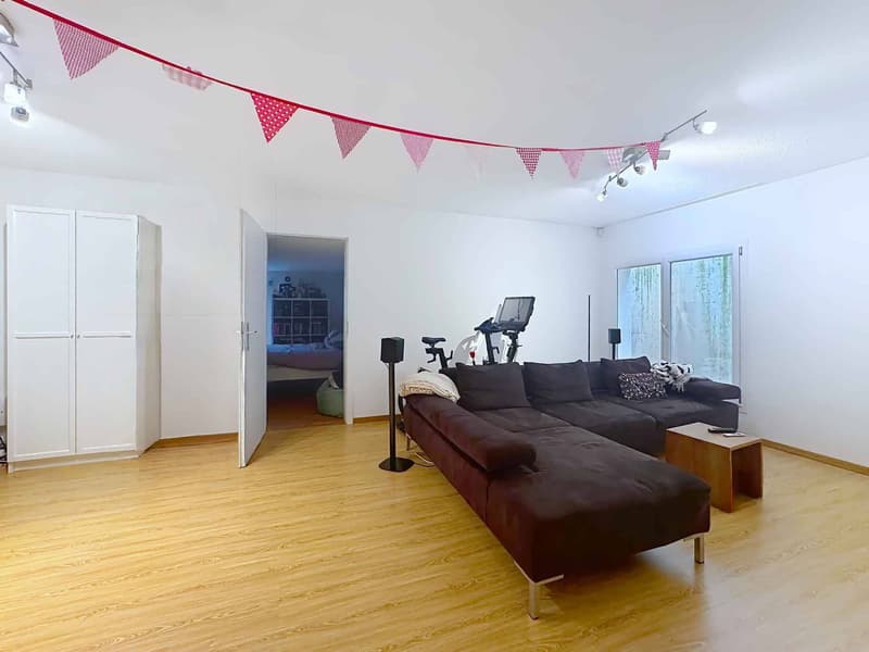 Exclusive: triplex apartment with terrace and garden (12)