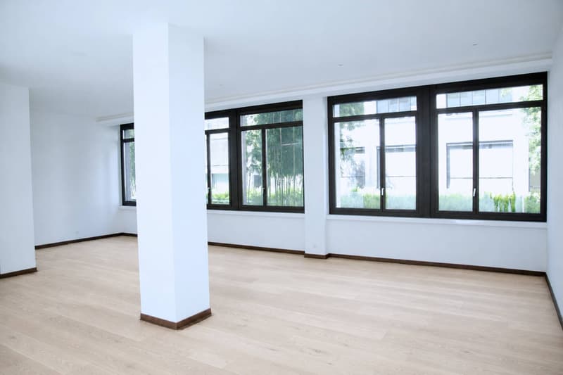 Magnificent loft-style apartment in the city center (4)