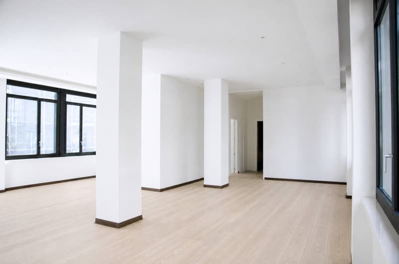 Magnificent loft-style apartment in the city center (3)