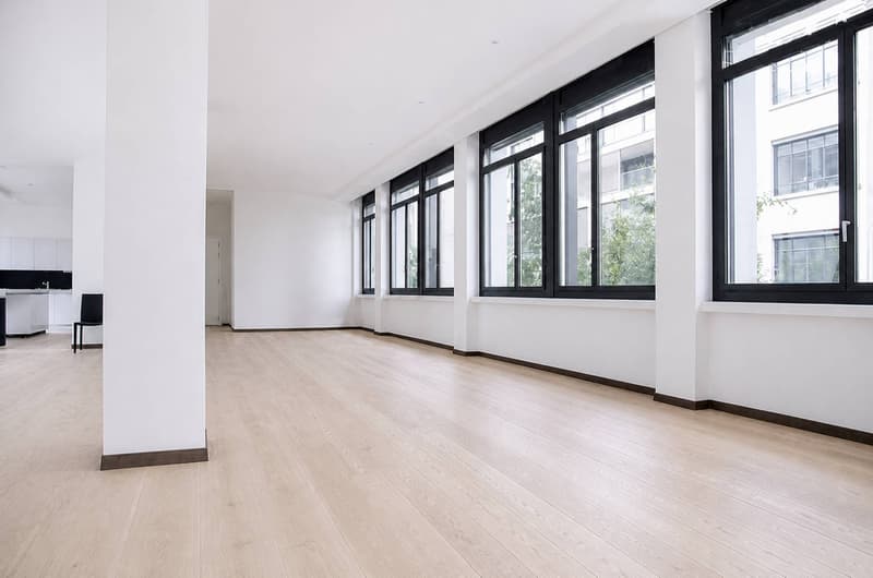 Magnificent loft-style apartment in the city center (2)