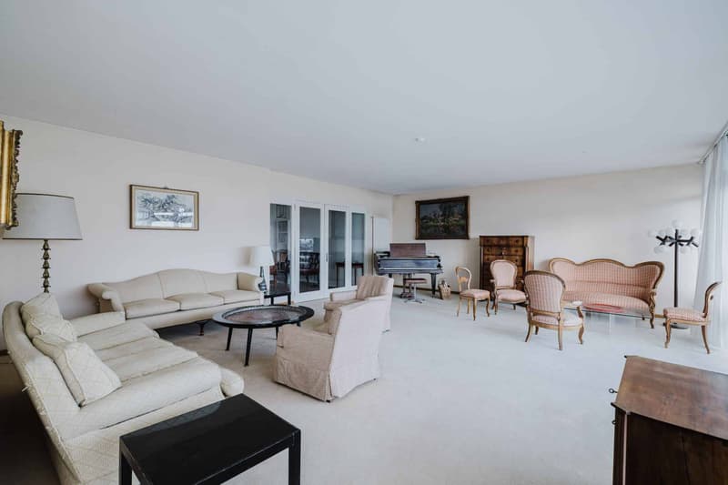 Spacious 7-room apartment on the top floor - Budé (7)