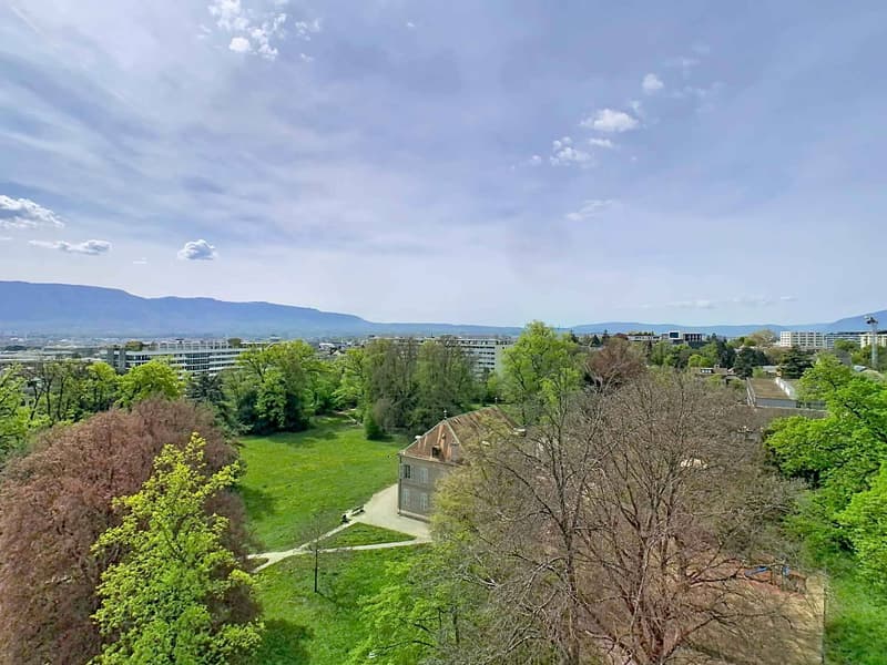 Spacious 7-room apartment on the top floor - Budé (13)