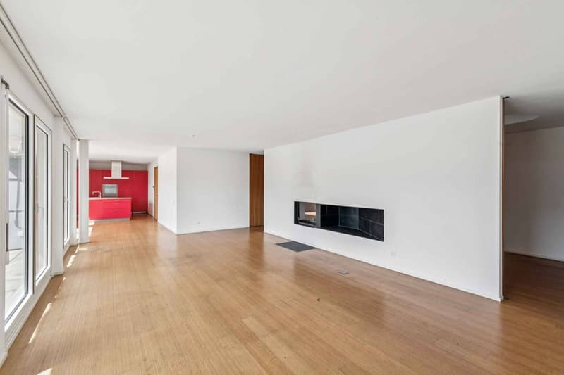 EN EXCLUSIVITÉ ! Magnifique loft en attique de 4 pièces avec terrasse de plus de 80 m² (3)
