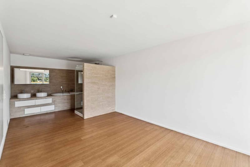 EN EXCLUSIVITÉ ! Magnifique loft en attique de 4 pièces avec terrasse de plus de 80 m² (6)