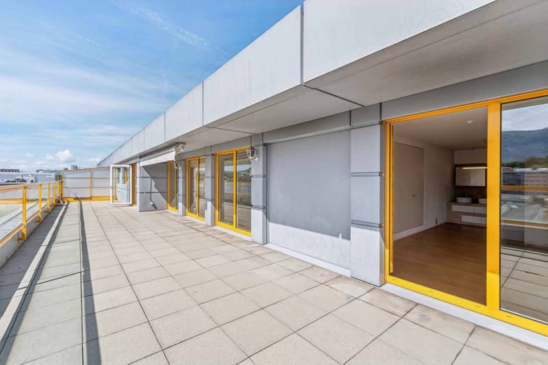 EN EXCLUSIVITÉ ! Magnifique loft en attique de 4 pièces avec terrasse de plus de 80 m² (5)