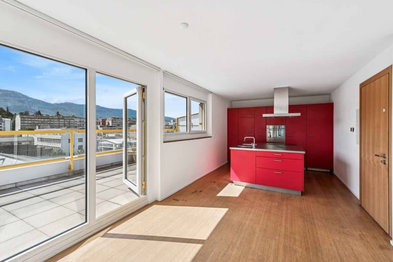 EN EXCLUSIVITÉ ! Magnifique loft en attique de 4 pièces avec terrasse de plus de 80 m² (4)