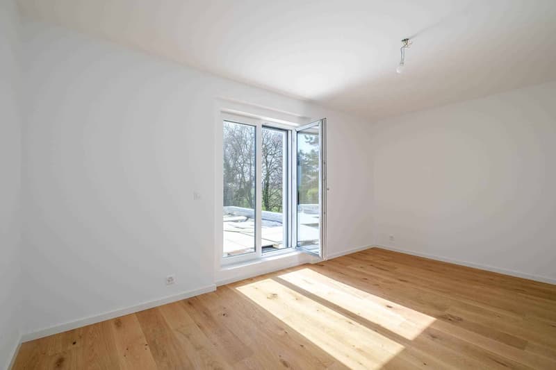 Magnifique Villa individuell renoviert nach HPE-Normen (6)