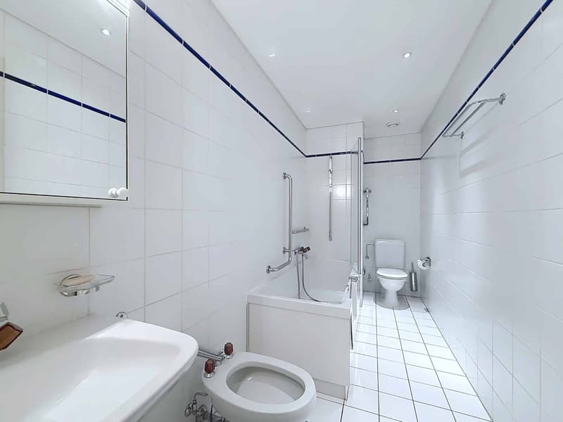 Superbe appartement traversant de 5 pièces à Florissant (13)