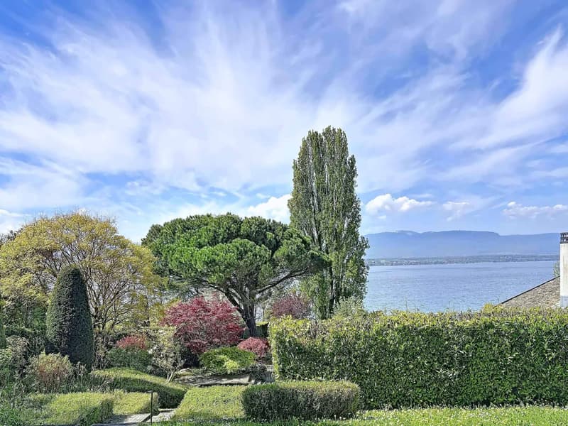 Villa d'architecte avec belle vue et accès privatif au lac (1)
