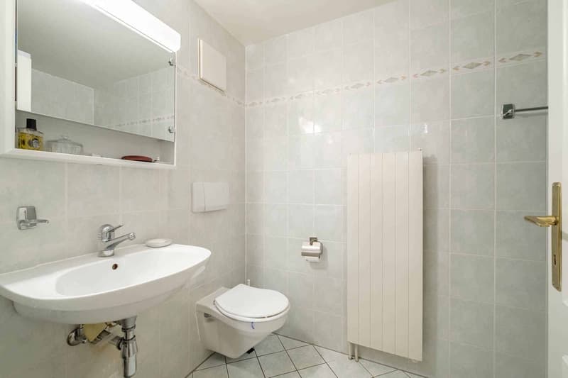 Piacevole duplex di 5 locali con terrazza e giardino (10)