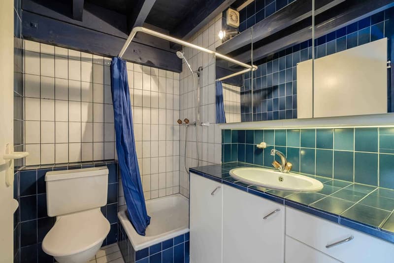 En exclusivité - Charmante et spacieuse villa familiale à Lully (13)