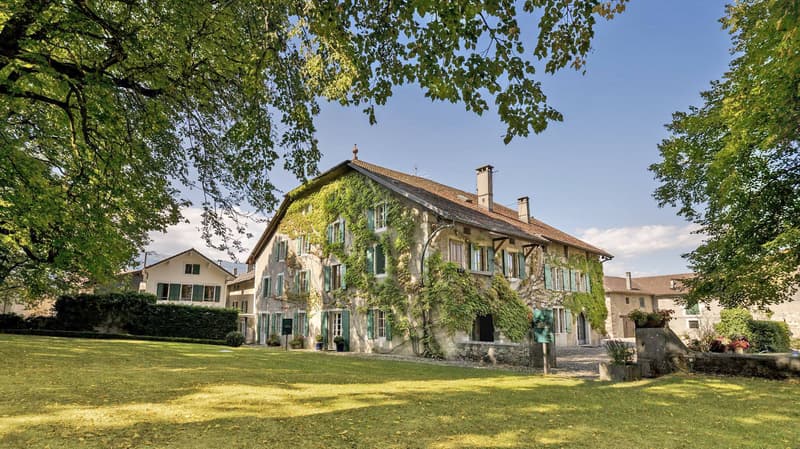 EN EXCLUSIVITE : Magnifique propriété au coeur du vignoble (1)