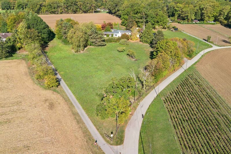 Villa individuelle sur une vaste parcelle de plus de 8'000 m² (13)