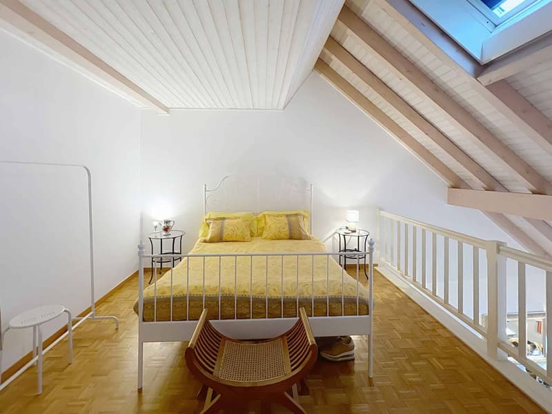 Agréable appartement lumineux avec duplex (5)