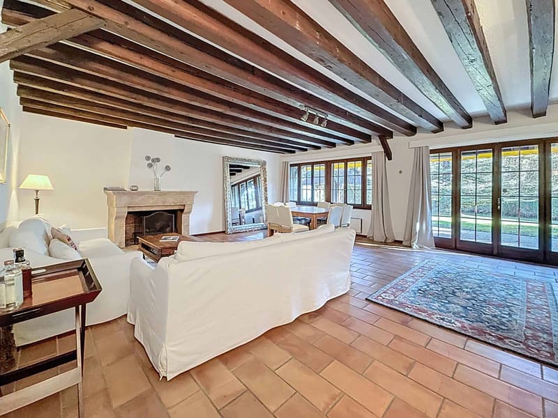 CO-EXCLUSIVE! Magnificent character property near Nyon (3)