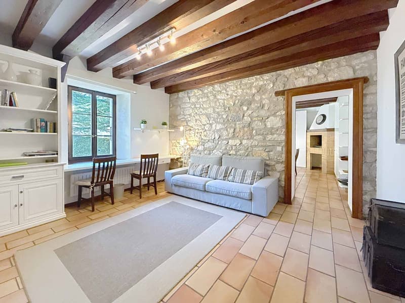 CO-EXCLUSIVE! Magnificent character property near Nyon (5)