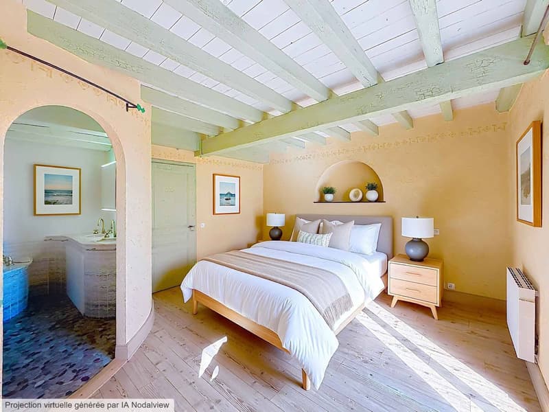 Bellissima casa di carattere vicino a Nyon (2)
