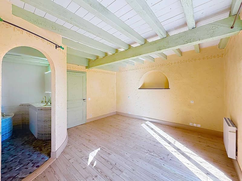 Bellissima casa di carattere vicino a Nyon (3)