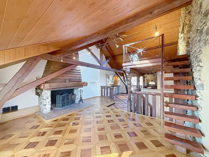 Bellissima casa di carattere vicino a Nyon (9)