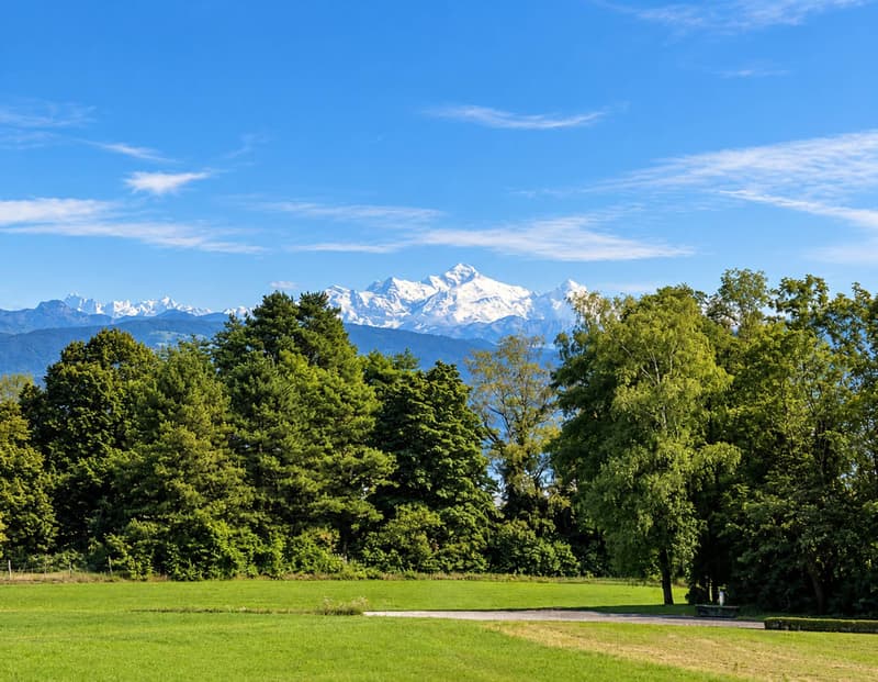 EXCLUSIVITE - Magnifique propriété individuelle (9)