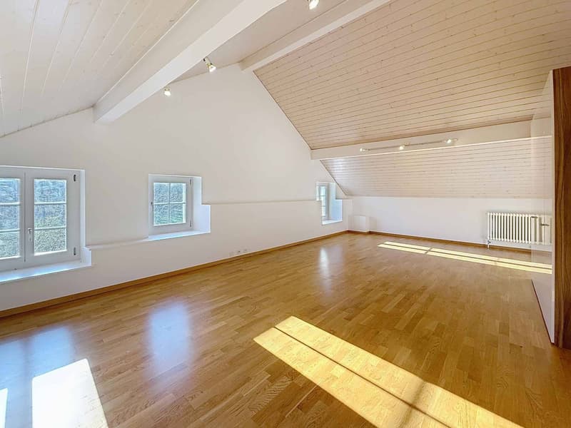 EXCLUSIVELY ! Magnificent authentic house with undeniable charm (8)