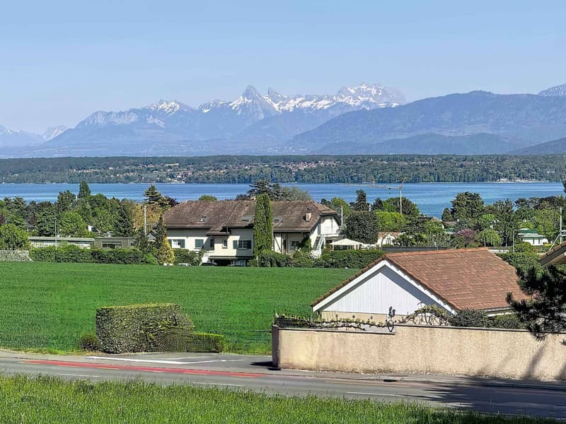 EXCLUSIVITY - Charming house on beautiful plot (8)