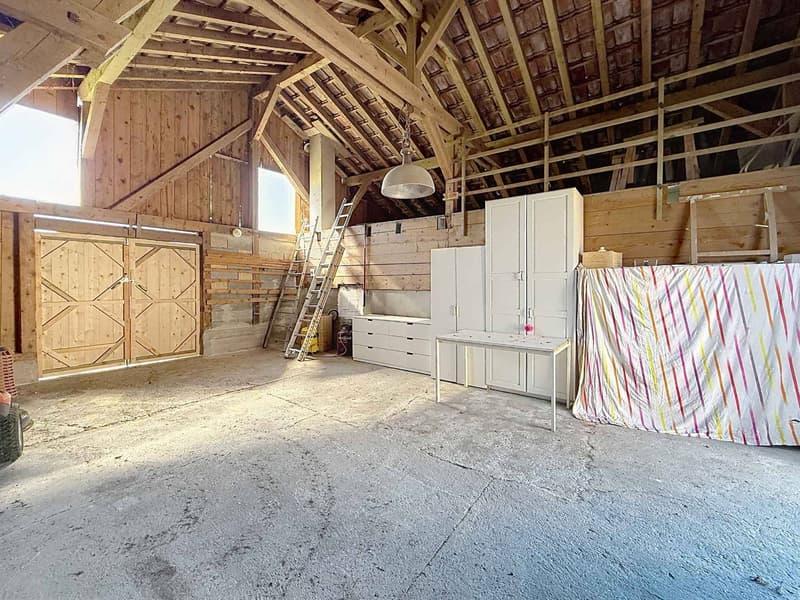 EXCLUSIVITY - Charming house on beautiful plot (11)