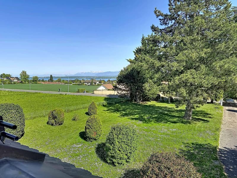 EXCLUSIVITY - Charming house on beautiful plot (9)