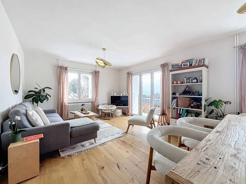 Charming 3.5-room apartment completely renovated (4)