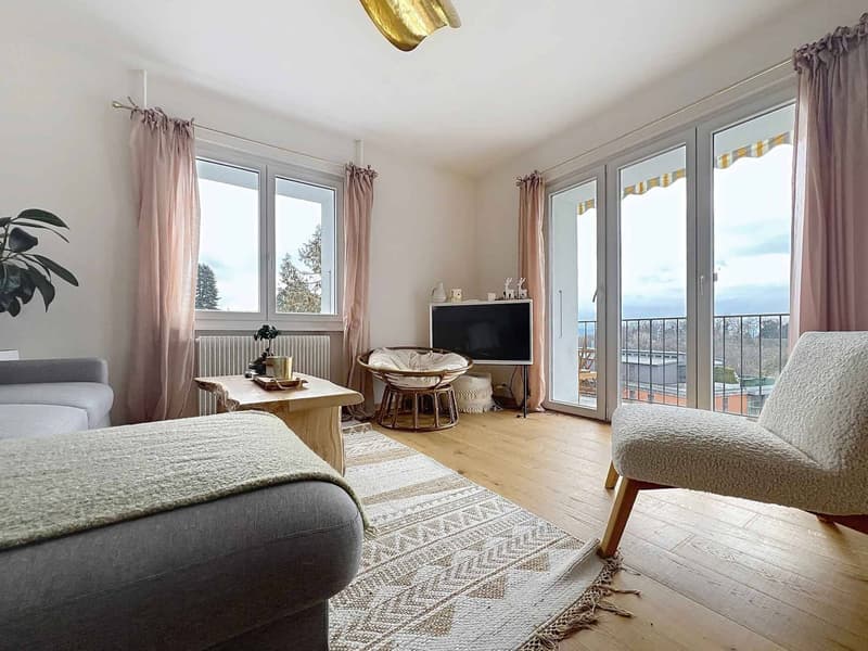Charming 3.5-room apartment completely renovated (5)