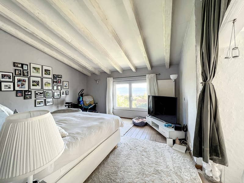House with special charm and lake view (7)