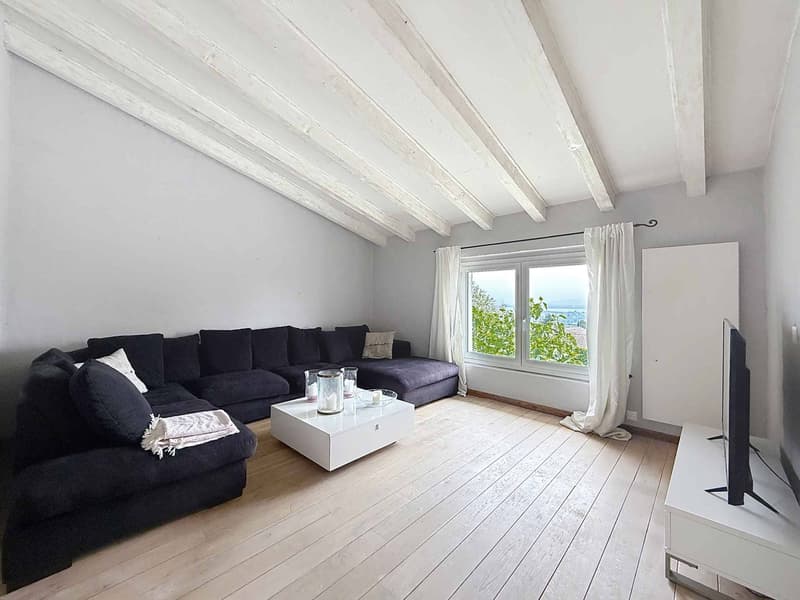 House with special charm and lake view (6)