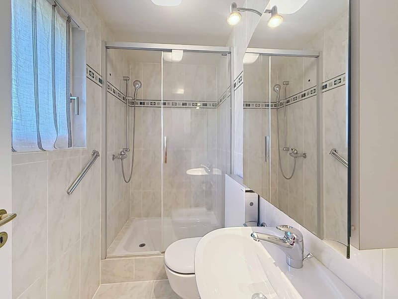 Charming individual villa in "Vaudois" style (11)