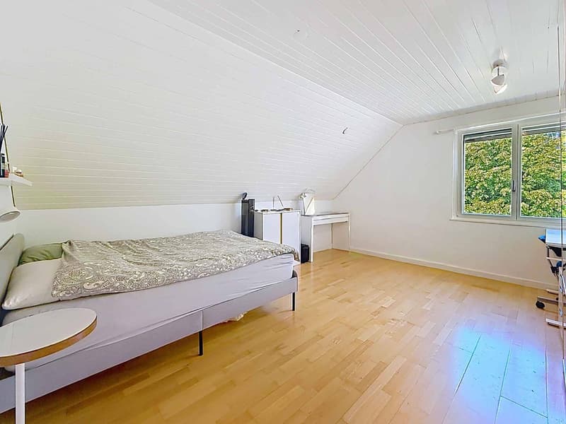 Charming individual villa in "Vaudois" style (8)