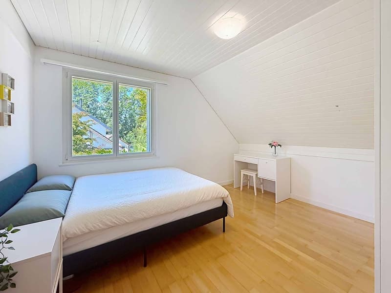 Charming individual villa in "Vaudois" style (7)