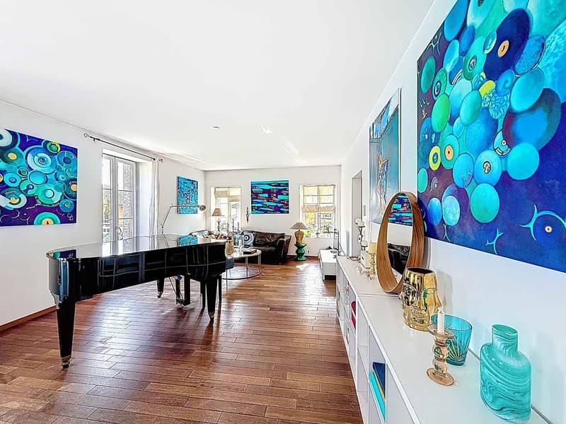 Dreamy - Magnificent bright apartment (4)