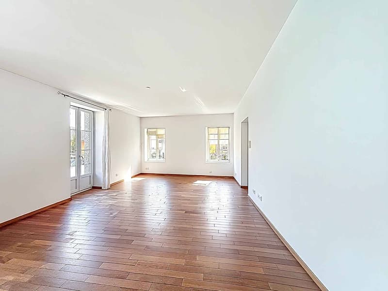 Dreamy - Magnificent bright apartment (3)