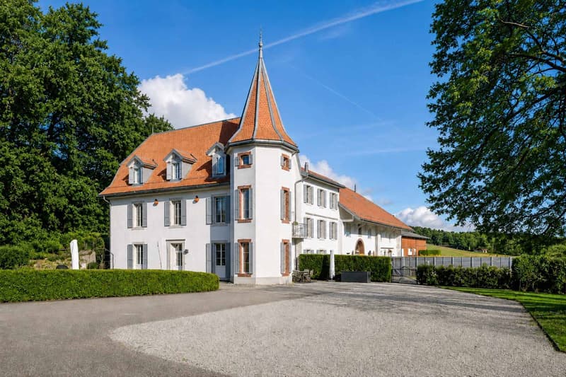 Une vie de château au coeur de la nature avec vue sur le lac (1)