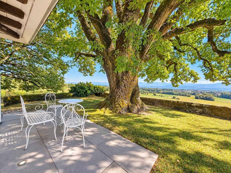 Une vie de château au coeur de la nature avec vue sur le lac (9)