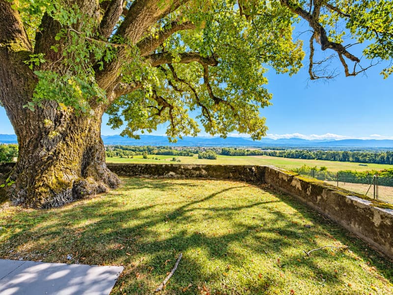 Une vie de château au coeur de la nature avec vue sur le lac (1)
