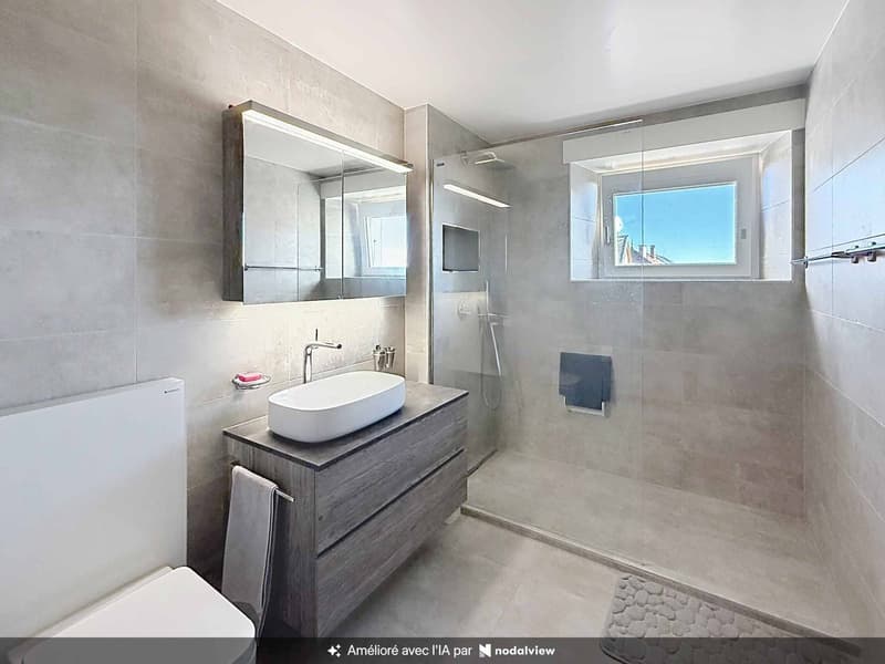 Duplex de Standing avec vue sur le Lac et les Alpes (11)
