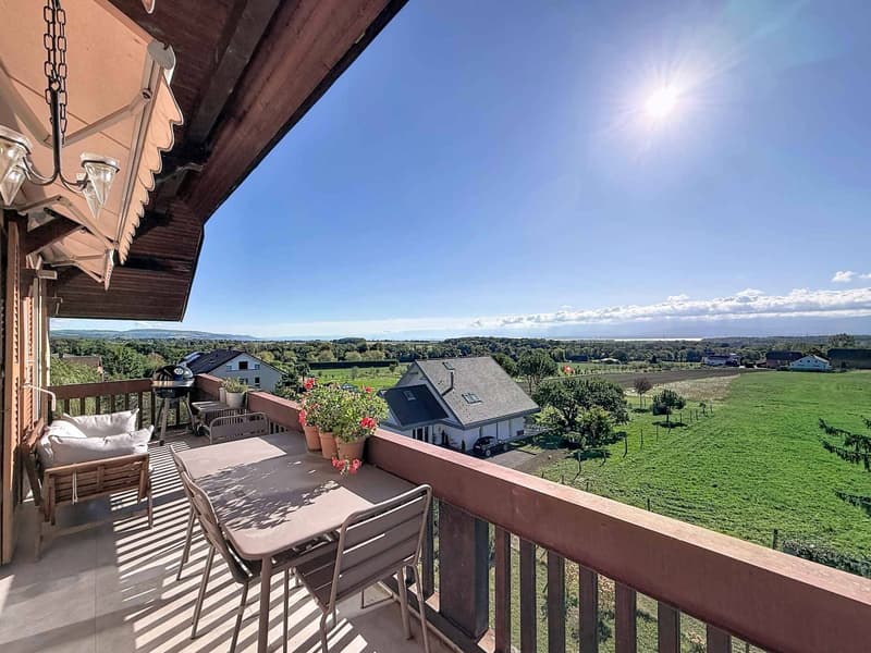 Duplex de Standing avec vue sur le Lac et les Alpes (13)