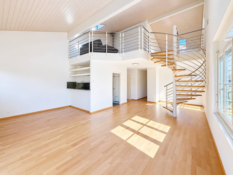 Très bel appartement en duplex (2)