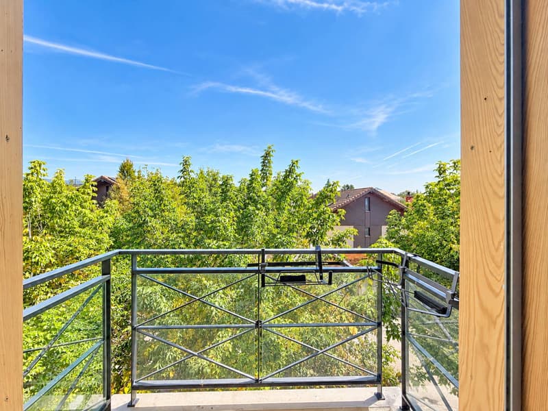 Très bel appartement en duplex (10)