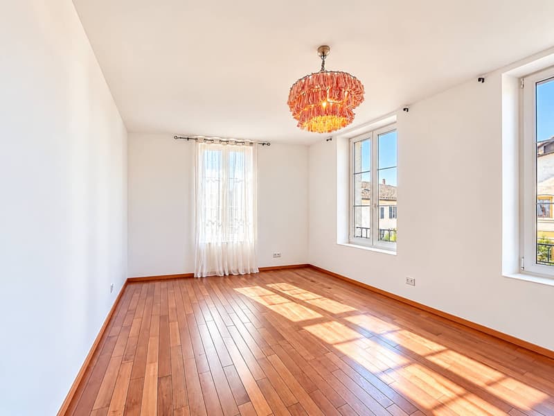 Coup de coeur - Magnifique appartement lumineux (7)